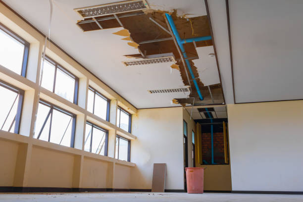 Best Water damage restoration near me  in Marbleton, WY