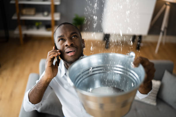 Best Flooded house restoration  in Marbleton, WY