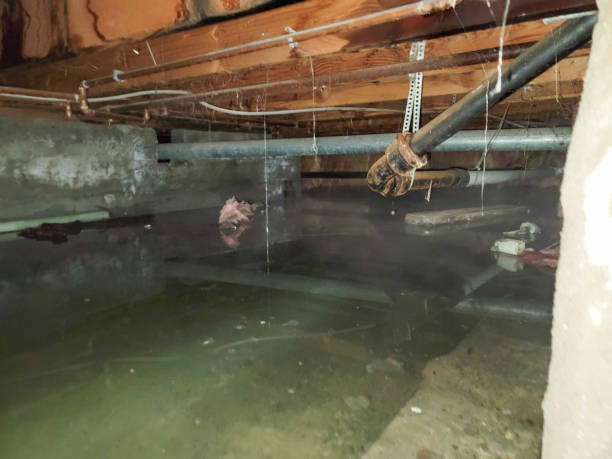 Trusted Marbleton, WY Water damage restoration Experts