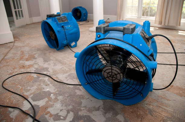 Best 24-hour water damage restoration  in Marbleton, WY