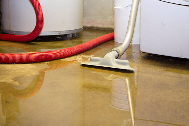 Best Sewage cleanup and water damage restoration  in Marbleton, WY