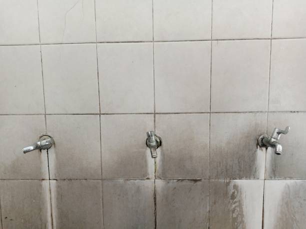 Best Water damage restoration near me  in Marbleton, WY