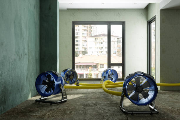Best Professional water damage repair  in Marbleton, WY