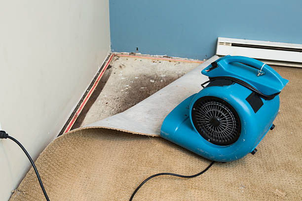 Best Commercial water damage restoration  in Marbleton, WY